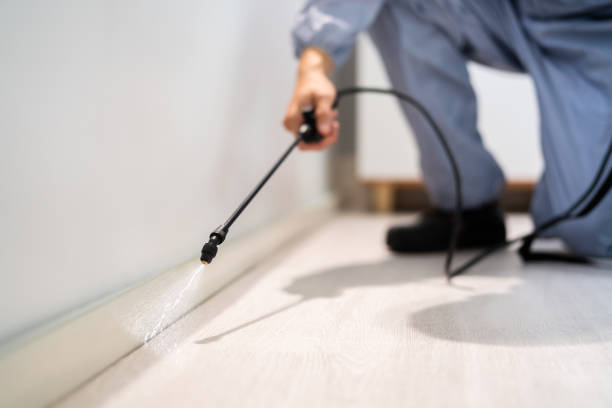 Licensed Cockroach Control service in Derma, MS - Nex Pest Control