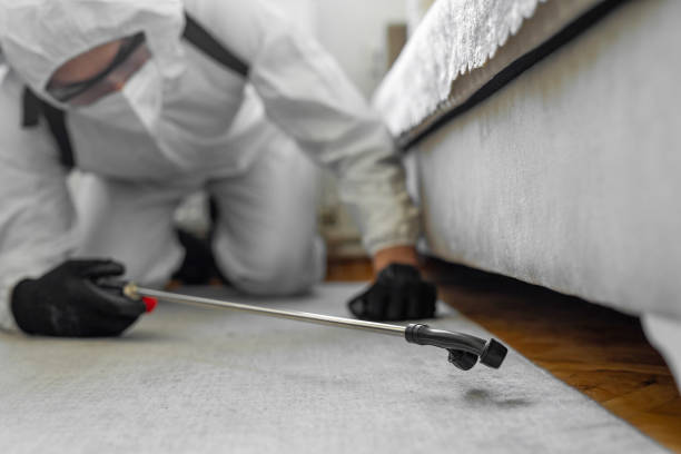 Professional Cockroach Control technician working in Derma, MS