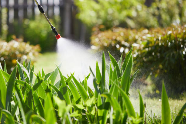 24/7 Emergency Cockroach Control experts in Derma, MS