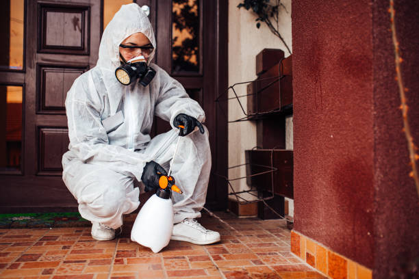 Reliable Cockroach Control contractor in Derma, MS by Nex Pest Control