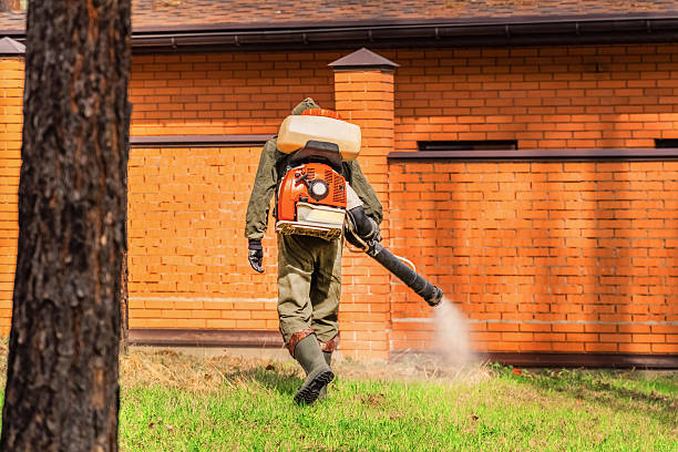 Top rated local Cockroach Control specialists in Derma, MS